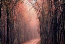 Folk Ghost Tales: Bold Talents